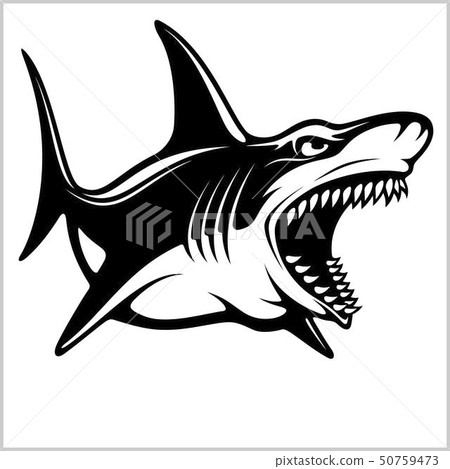 Shark logo for a sport team on white. Vector illustration 50759473