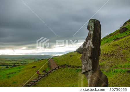 Profile of Moai in quarry, Rapa Nui 50759963