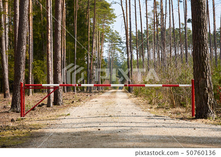 A barrier on a forest path with trees and sky 50760136