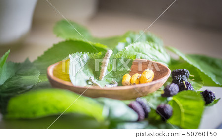 Persimmon and persimmon, persimmon fruit and persimmon leaf 50760150