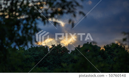 Sunset in deep clouds over trees horizon Sunset in deep clouds over trees horizon 50760548