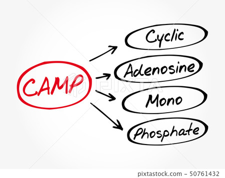 CAMP - Cyclic Adenosine MonoPhosphate CAMP - Cyclic Adenosine MonoPhosphate 50761432