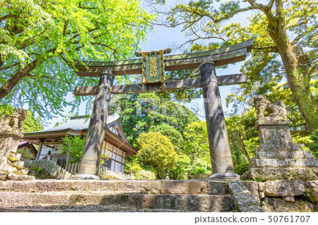 Fresh green Hidehiko Sanjingu approach (Corn torii-Hidehiko Hijinzan Jinguma) _ Soeda-cho, Tagawa-gun, Fukuoka Prefecture 50761707