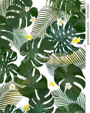 Background-Sea-Summer-Monstera-Plumeria 50761881