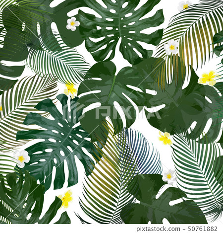 Background-Sea-Summer-Monstera-Plumeria Background-Sea-Summer-Monstera-Plumeria 50761882