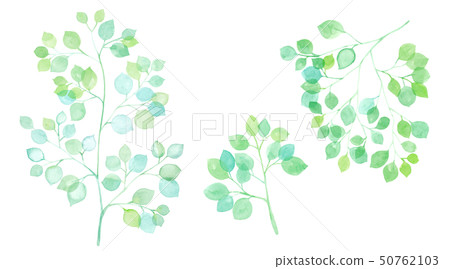 Part day set of sunbeams and leaves 50762103