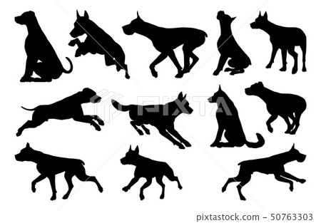 Dog Silhouettes Animal Set Dog Silhouettes Animal Set 50763303