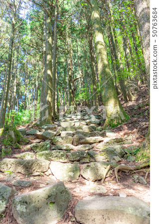 Fresh green Hidehiko Sanjingu Shrine (Hidehiko Sanjingu-Kaminomiya) _ Soeda-cho, Tagawa-gun, Fukuoka Prefecture Fresh green Hidehiko Sanjingu Shrine (Hidehiko Sanjingu-Kaminomiya) _ Soeda-cho, Tagawa-gun, Fukuoka Prefecture 50763684