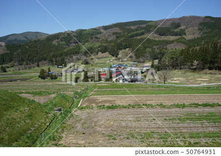 宮本的梯田 50764931