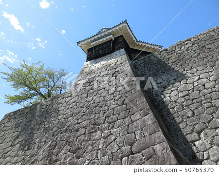 Matsuyama Shiromotomaru的Takaishi-gaki和Anmon續集 50765370