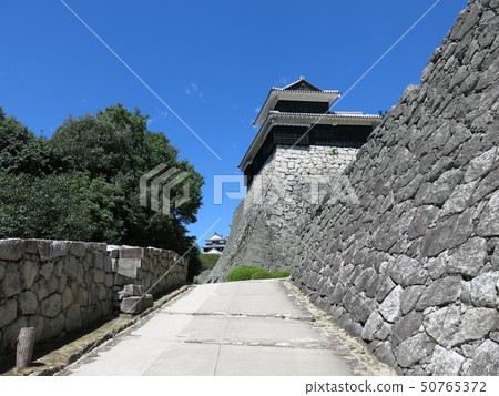 從松山城堡Otomon遺址附近看到的Great Tenshu和Taikomu 50765372