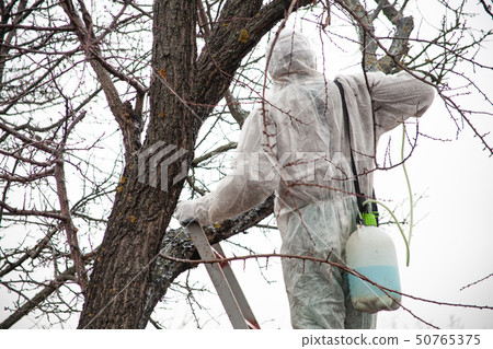 gardener trees covers pesticides 50765375