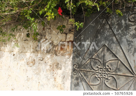 Morocco Rabat Morocco / Rabat 50765926