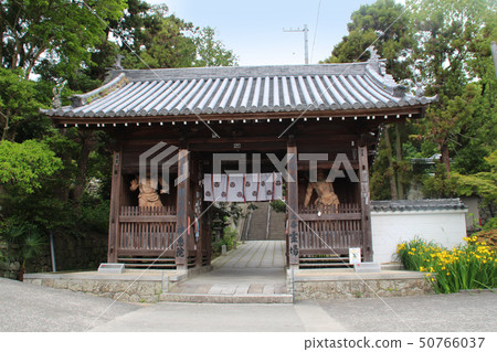 Kagawa Prefecture Kannon Temple 50766037