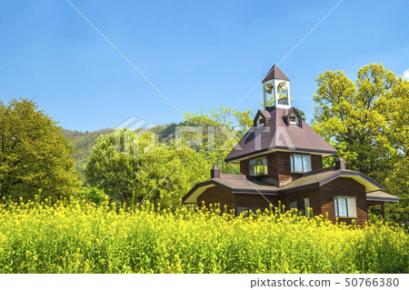 信州長野縣飯山市，有花園的公園 50766380