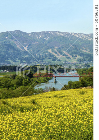 Shinshu Ozeki Bridge and Togari Onsen Ski Area Over the Chikuma River, as Seen from the Nanoka Park in Iiyama City, Nagano Prefecture 50766391