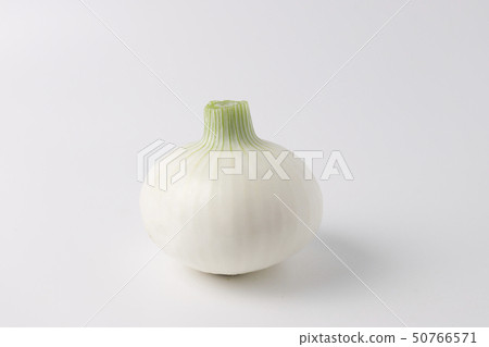 白洋蔥 50766571
