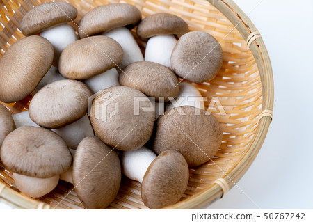 大黑姬路 50767242