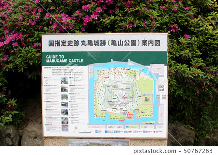 Country designated historic site Marugame Castle ruins 50767263