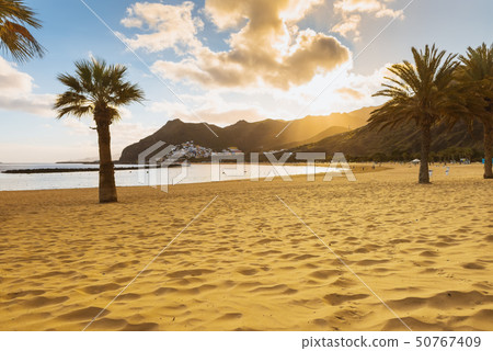 Playa de las Teresitas Beach, Tenerife 50767409