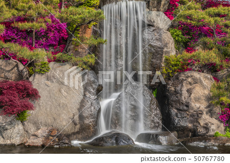 瀑布和楊三香 瀑布和楊三香 50767780