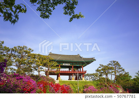 Youngwalu and Youngsanhong 50767781