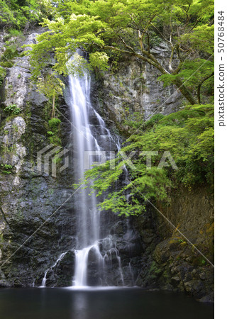 Mino Otaki Shin Mio (Osaka Prefecture Mino City) Mino Otaki Shin Mio (Osaka Prefecture Mino City) 50768484