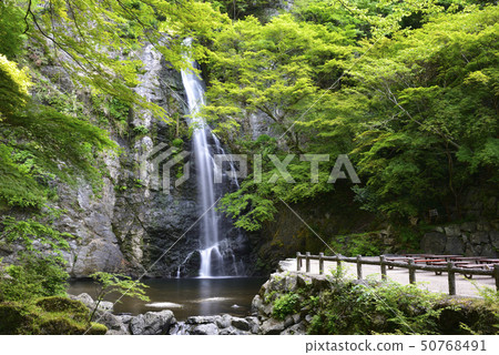 Mino Otaki Shin Mio (Osaka Prefecture Mino City) Mino Otaki Shin Mio (Osaka Prefecture Mino City) 50768491