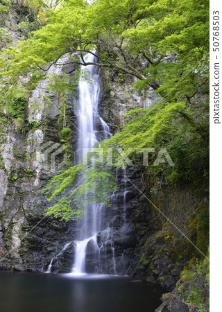 Mino Otaki Shin Mio (Osaka Prefecture Mino City) Mino Otaki Shin Mio (Osaka Prefecture Mino City) 50768503