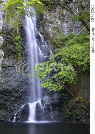Mino Otaki Shin Mio (Osaka Prefecture Mino City) Mino Otaki Shin Mio (Osaka Prefecture Mino City) 50768505