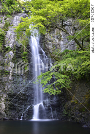 Mino Otaki Shin Mio(大阪府美濃市) Mino Otaki Shin Mio(大阪府美濃市) 50768507