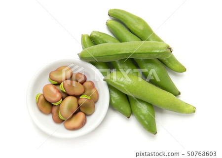 粉紅色的蠶豆 50768603