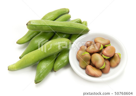 粉紅色的蠶豆 50768604