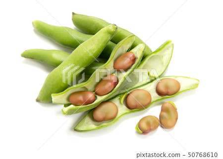粉紅色的蠶豆 50768610