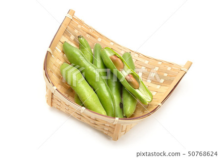 粉紅色的蠶豆 50768624