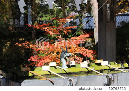 Dragon's mouth 50768713