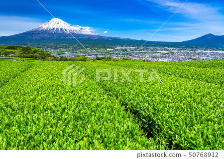 “靜岡縣”富士山風景和茶園 “靜岡縣”富士山風景和茶園 50768912