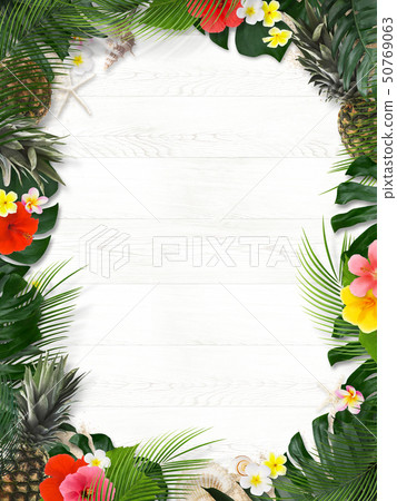 背景 - 海 - 夏 - 木 - 白木 - 龜背竹 - 雞蛋 - 木槿 - 菠蘿 - 熱帶 - 框架 背景 - 海 - 夏 - 木 - 白木 - 龜背竹 - 雞蛋 - 木槿 - 菠蘿 - 熱帶 - 框架 50769063
