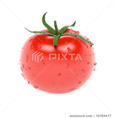Tomato. With water drops. 3d rendering illustration isolated Tomato. With water drops. 3d rendering illustration isolated 50769477