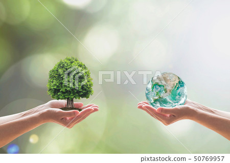 World environment day and biological diversity  50769957