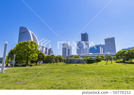 Scenery of Yokohama Rinko Park Lawn square and buildings Scenery of Yokohama Rinko Park Lawn square and buildings 50770152