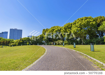 Scenery of Yokohama Rinko Park 50770188