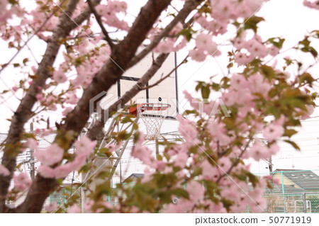Basketball goal for Ushiji Station in Sakura City, Tochigi Prefecture Basketball goal for Ushiji Station in Sakura City, Tochigi Prefecture 50771919