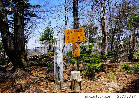 Otsuchi Okumichi Benten Forest Otsuchi Okumichi Benten Forest 50772387