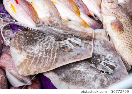 Round ribbontail ray fish on a counter Round ribbontail ray fish on a counter 50772799