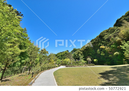金澤市Shofukaku花園綠色路徑 金澤市Shofukaku花園綠色路徑 50772921