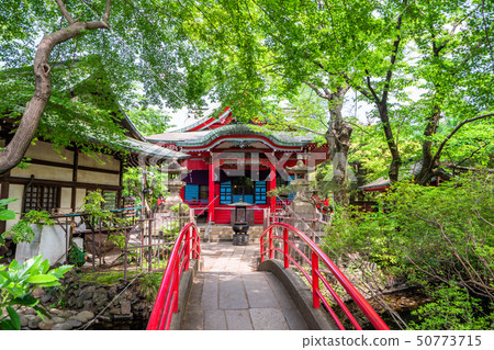 Inokohokoen在東京春天 50773715