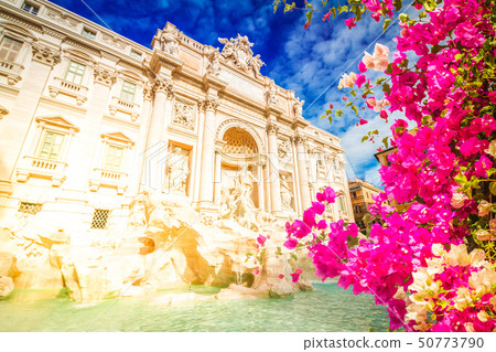 Fountain di Trevi in Rome, Italy 50773790