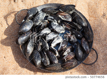 Freshly cooked mussels in metal tray on sand beach Freshly cooked mussels in metal tray on sand beach 50774656
