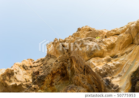Strata Strata 50775953